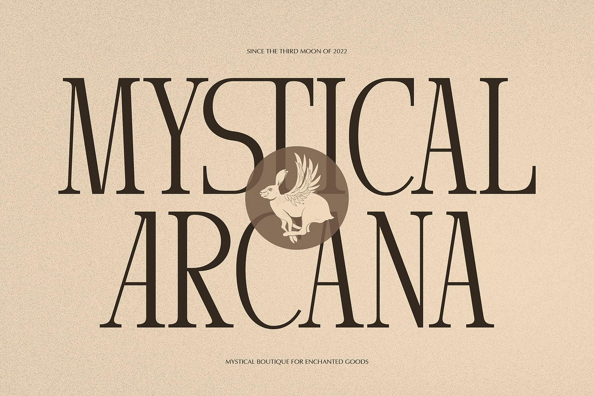 Arnnelo | Modern Display Serif, a Serif Font by gracetype_studio (Photo 3 of 12)