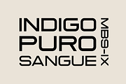 Sauro – Font Family, a Sans Serif Font by Stefano Giliberti (Thumbnail 7 of 10)