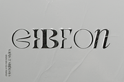 GIBEon Display Serif Family, a Serif Font by Ryul Davidson (Thumbnail 1 of 17)