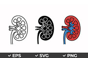 Human Kidney Vector Icon Set, an Object Graphic by Artonix (Thumbnail 1 of 3)