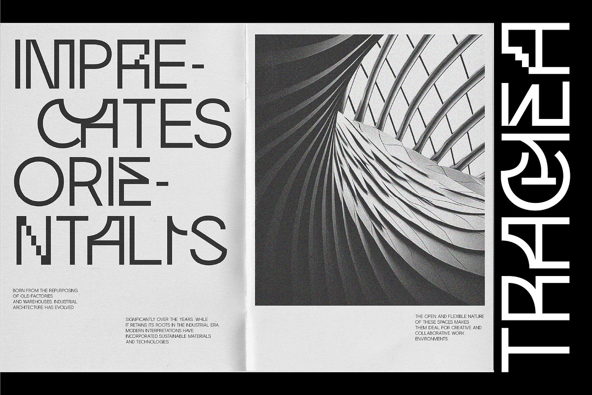 Trachea - Sans Serif Display Font, a Sans Serif Font by Brainwaves.Studio (Photo 9 of 9)