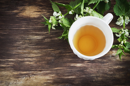 Nettle tea containing nettle, tea, and plant
