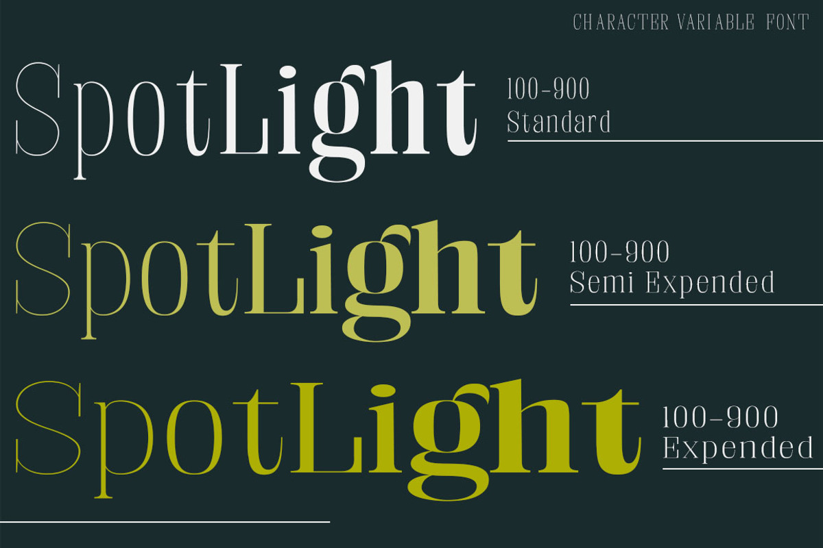 Fenoura, a Serif Font by Propertype (Photo 10 of 10)