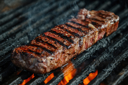Perfectly grilled juicy steak sizzli, a Photo by Iftikhar Alam