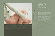 Pressed Flower Paper Effects, a Layer Style Add-On by Kaleriia (Thumbnail 2 of 21)
