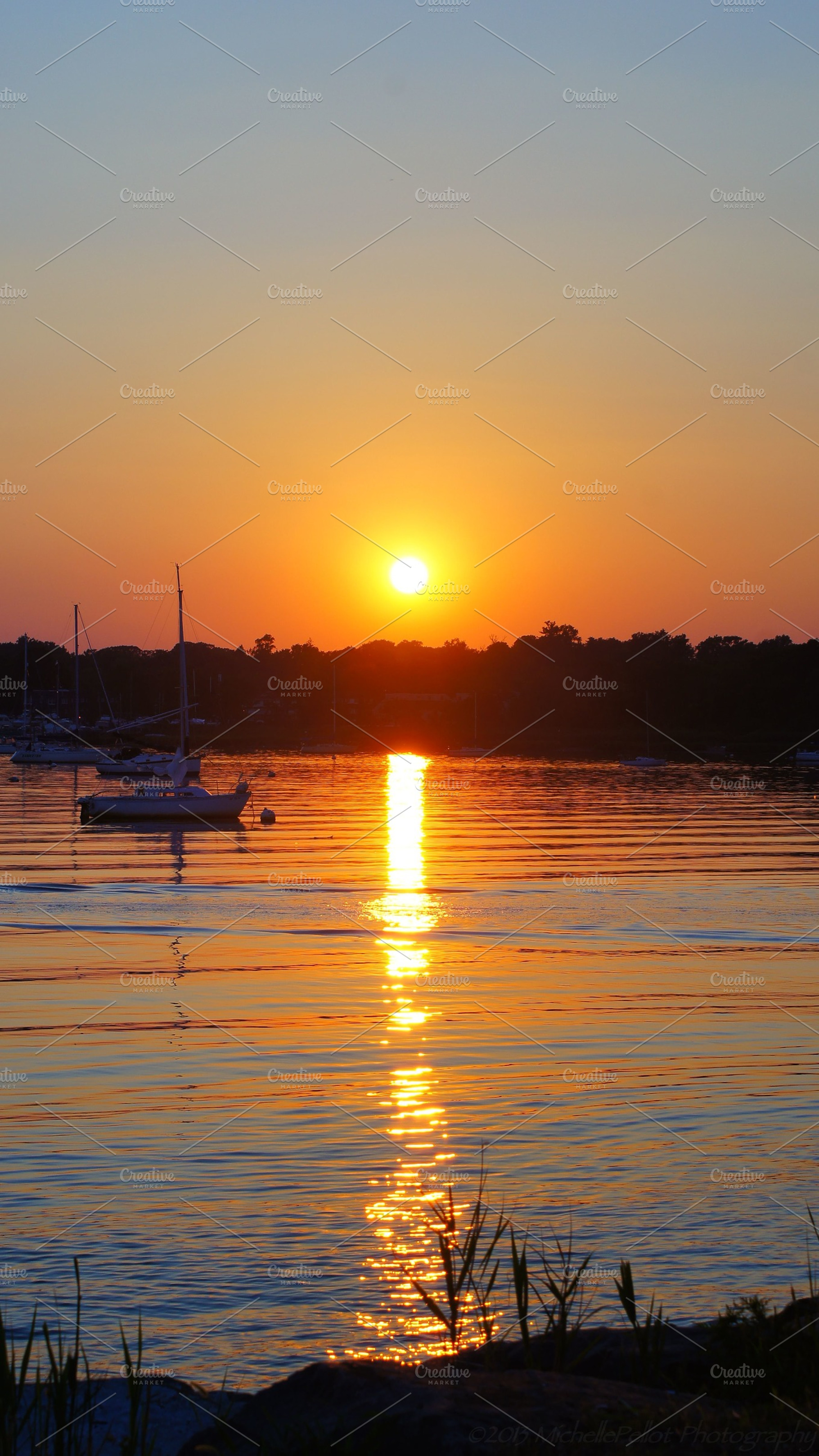 Summer At The Marina, a Nature Photo by M.Pellot Photography