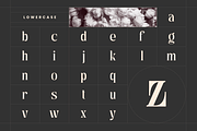 Astella Luxury - Branding Logo Font, a Serif Font by Nirmana Visual (Thumbnail 11 of 16)