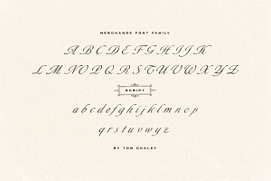 Merchande - Vintage Font Trio