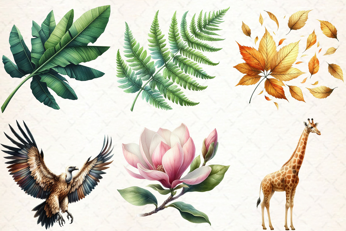 Watercolor Wildlife Nature Animals, an Illustration by Libby Wishes (Photo 2 of 9)