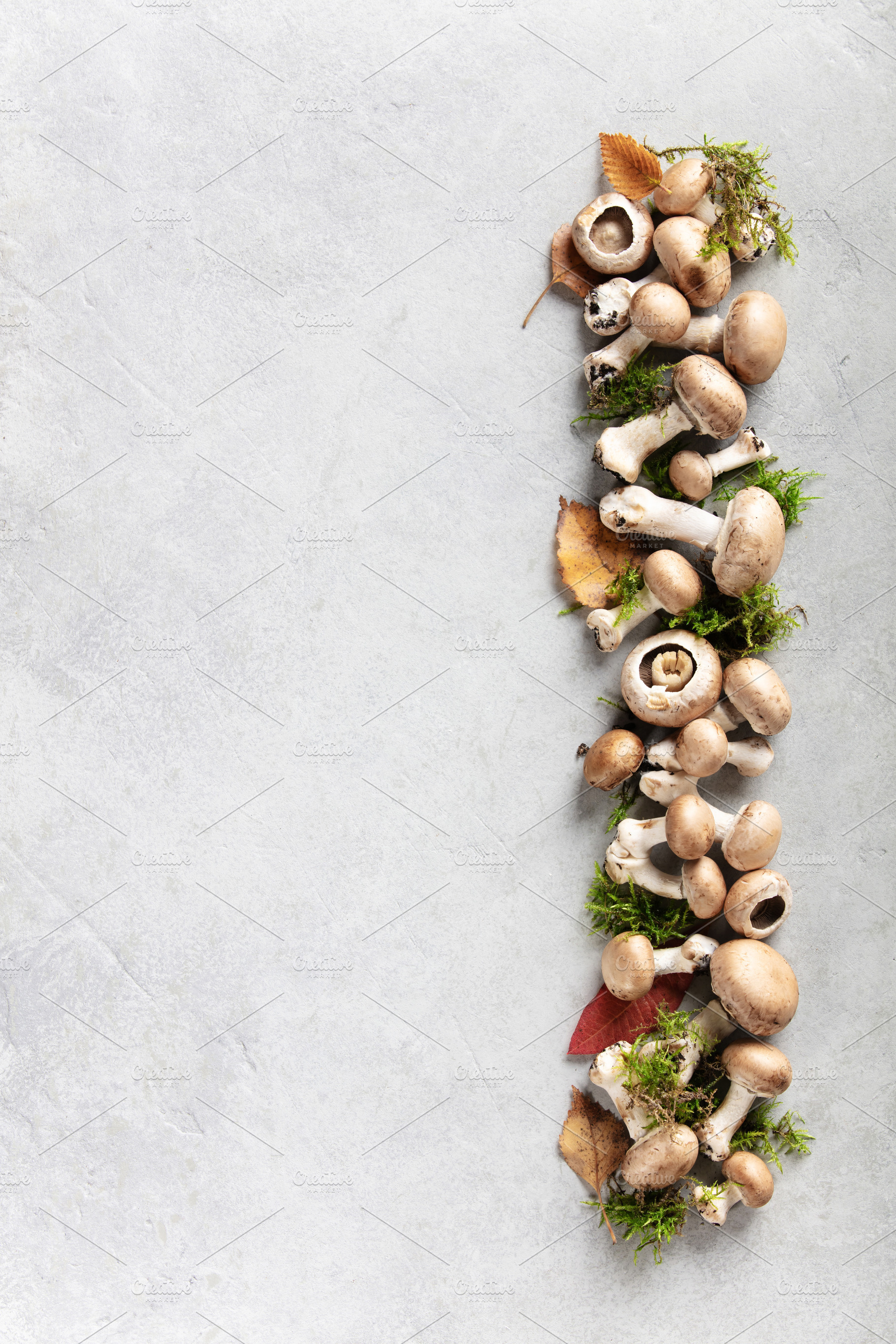 Fresh Mushrooms with Autumn Leaves and Moss on Stone Background, a Food & Drink Photo by Natalia Klenova's Shop