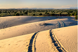 Tire tracks on St. Anthony Sand, a Nature Photo by Leonid Andronov