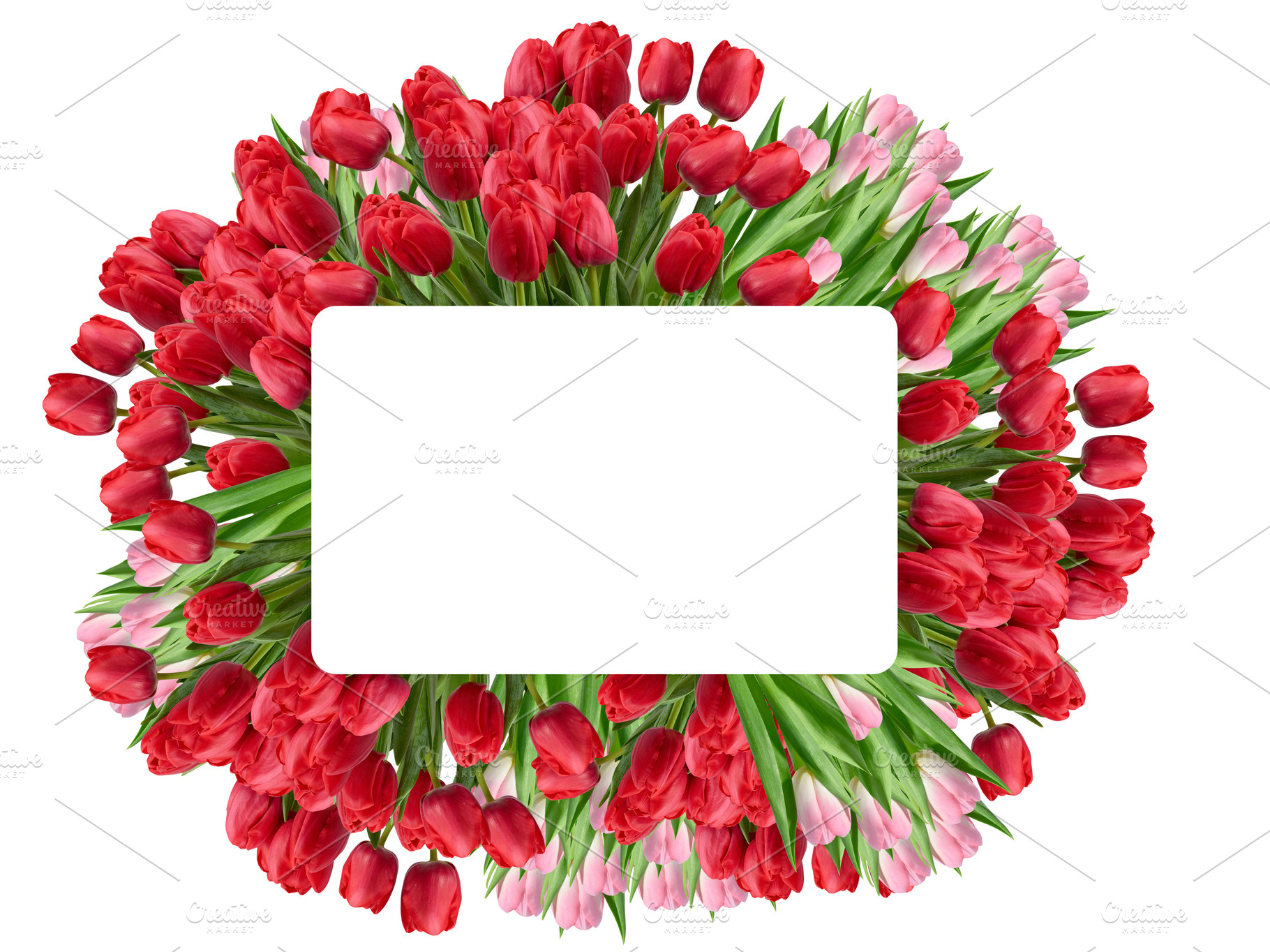 Rectangular frame of red and pink tulips with green leaves and w, a Holiday Photo by ndanko