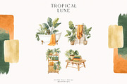 Tropical Luxe Collection, an Illustration by PeDe Designs (Thumbnail 5 of 28)