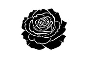 50 Black Rose Silhouette Vector Bund, an Illustration by Gaye Art (Thumbnail 5 of 51)