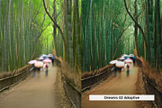 20 Kurosawa Film Lightroom Presets a, a Preset Add-On by SparkleStock (Thumbnail 12 of 16)