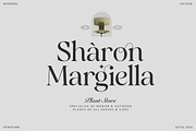 Blinkosta - Unique Ligature Serif, a Serif Font by Mytha Studio (Thumbnail 4 of 15)