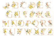 Early autumn, watercolor flowers, a Decorative Illustration by Love Watercolor Store (Thumbnail 10 of 13)