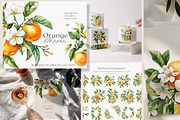 BUNDLE Watercolor Fruit and Flora, a Decorative Illustration by ThaismotaCreativeCo (Thumbnail 2 of 14)