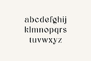 Dominance Elegant Serif Display Font, a Serif Font by UICreative (Thumbnail 6 of 13)