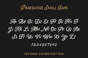 The Parkshore Font Collection, a Script Font by Hustle Supply Co. (Thumbnail 9 of 11)