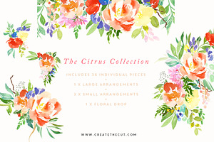 The Citrus Collection