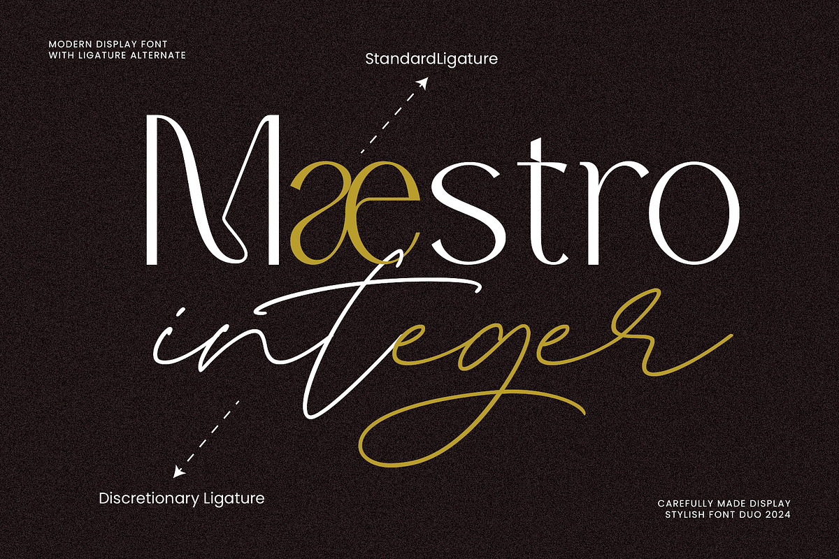 Ragadyan - Modern Duo Font, a Script Font by Inviline.co (Photo 11 of 18)