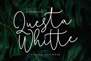 Questa Whitte Script Business Font