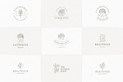 36 Botanical Logo Templates | Canva, a Branding & Logo Template by Vasya Kobelev (Thumbnail 9 of 10)