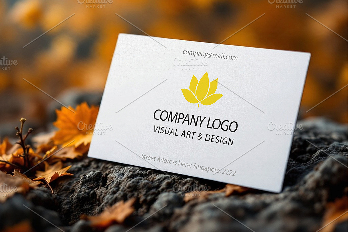 BUNDLE - 6PSD MOCKUPS, BUSINESS CARD, an Advertising Mockup by Mockup Stories (Photo 7 of 7)
