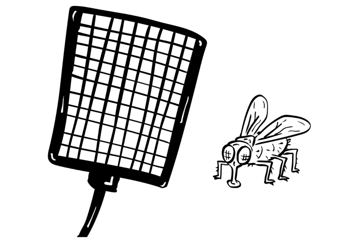 Fly Swatter and Housefly Cartoon, an Illustration by patrimonio