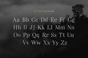 Leyton Typeface