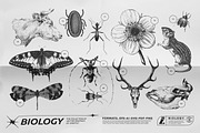 125 Vector Bitmap Assets. Biology, a Graphic by Vanzyst (Thumbnail 8 of 16)