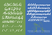 Paradise Coastal Modern Handwritten, a Handwritten Font by AmorfaType (Thumbnail 8 of 8)