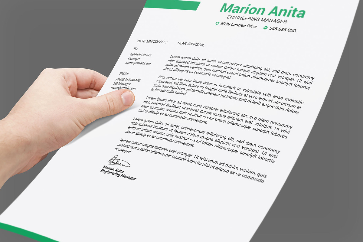 Professional Resume / CV Template, a Resume Template by designvillage (Photo 2 of 11)