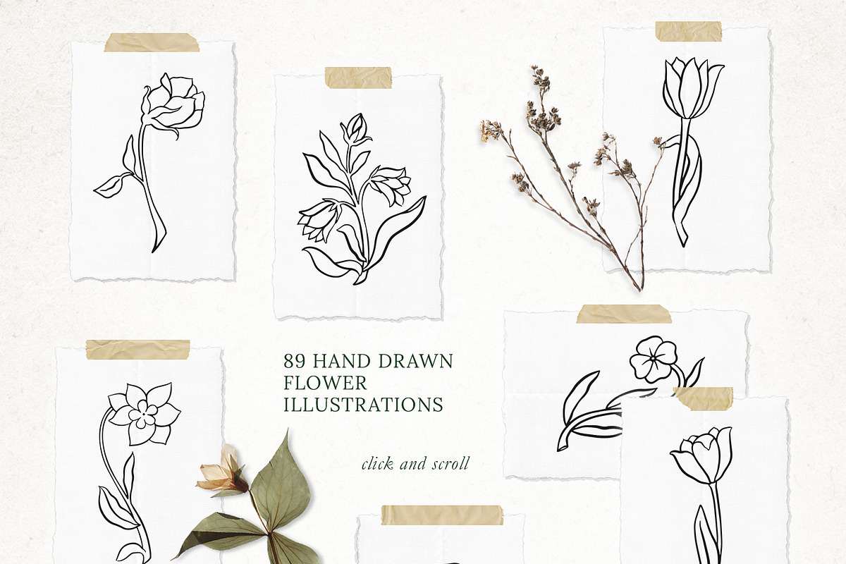89 LINE ART FLOWER ILLUSTRATIONS, an Illustration by Katerina Osa (Photo 3 of 10)