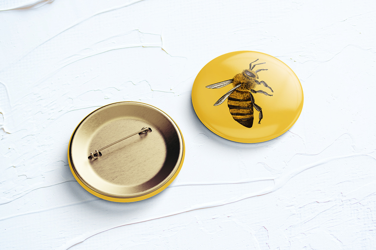 Hand drawn life cycle of a honey bee, an Animal Illustration by handsketched (Photo 7 of 7)