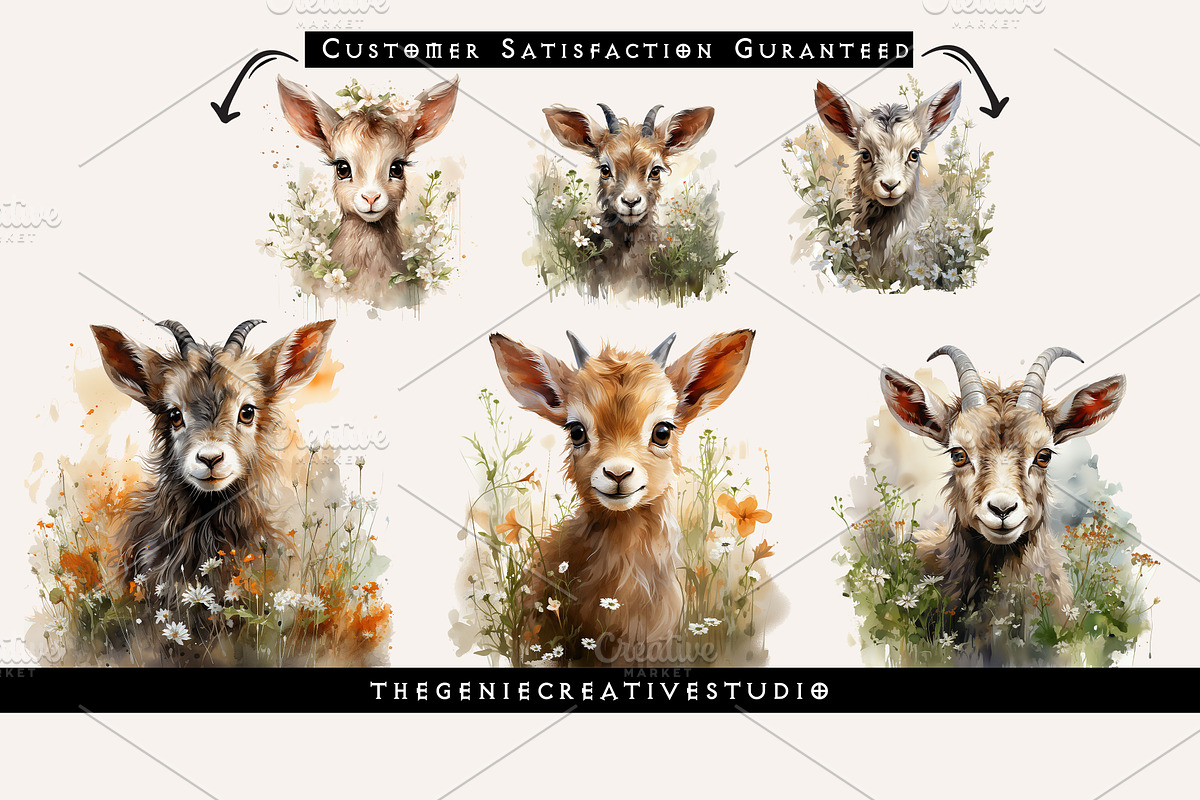 Watercolor PNG  Baby Goat Clipart, an Animal Illustration by Geniecreativestudio (Photo 4 of 9)