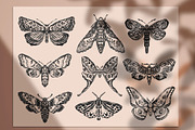 Procreate Stamps Magical Moths Brush, a Brush Add-On by MakeMyPlaceDesign (Thumbnail 2 of 2)
