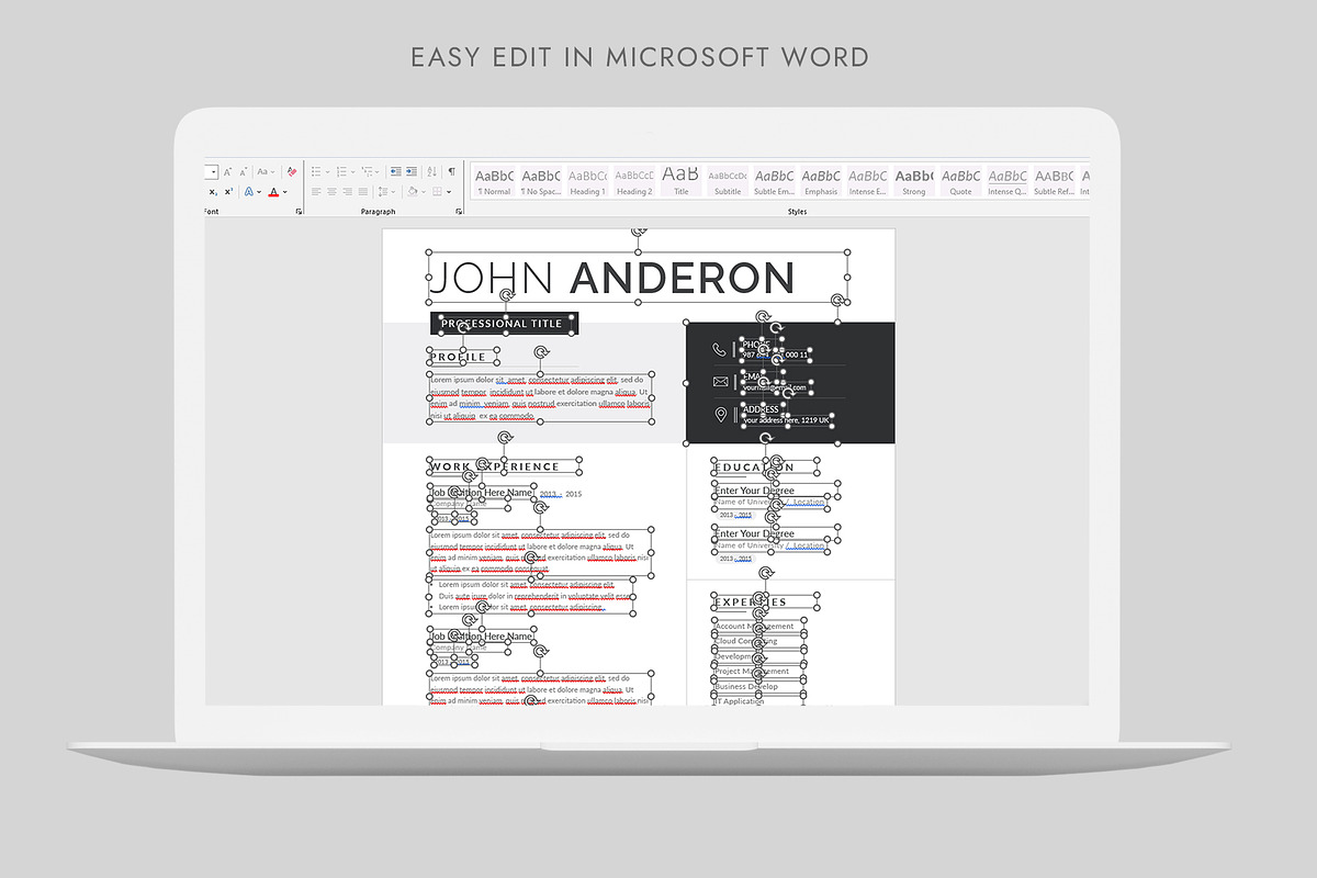 Resume, a Stationery Template by Pixelpick (Photo 5 of 6)