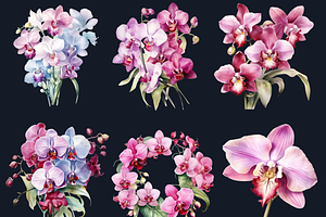 Watercolor Pink Orchid Flowers Set