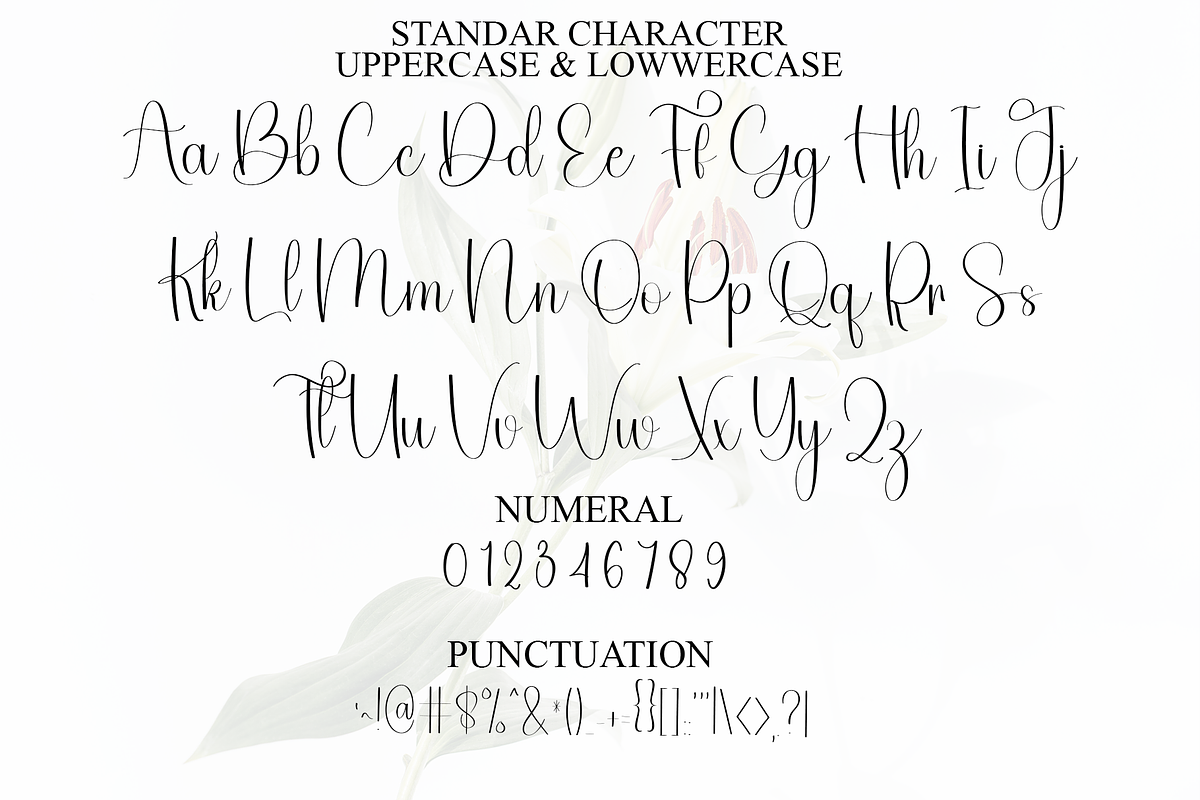 Amsterdam, a Handwritten Font by InermediaSTUDIO (Photo 2 of 8)