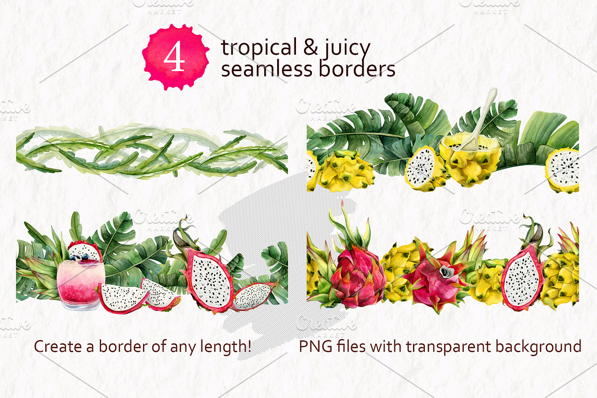 Tropical Dragon Fruit Pitaya Clipart, a Food Illustration by Elena Malgina Clipart (Photo 7 of 12)