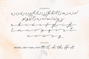 Alesandra Handbrush Script