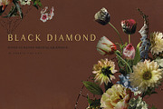 Black Diamond - Digital Graphics, an Illustration by Create The Cut (Thumbnail 2 of 14)