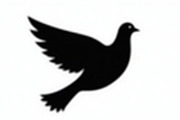 Bird Silhouette design bundle, an Illustration by Creativeshirt (Thumbnail 6 of 11)