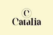 Galery - Elegant Modern Typeface, a Serif Font by suhadidesign (Thumbnail 11 of 15)