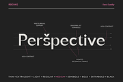 Rochas Font Family, a Sans Serif Font by Larin Type Co. (Thumbnail 5 of 14)