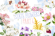 US State Flowers Part 4 Illustration, a Decorative Illustration by DioFlow (Thumbnail 1 of 4)