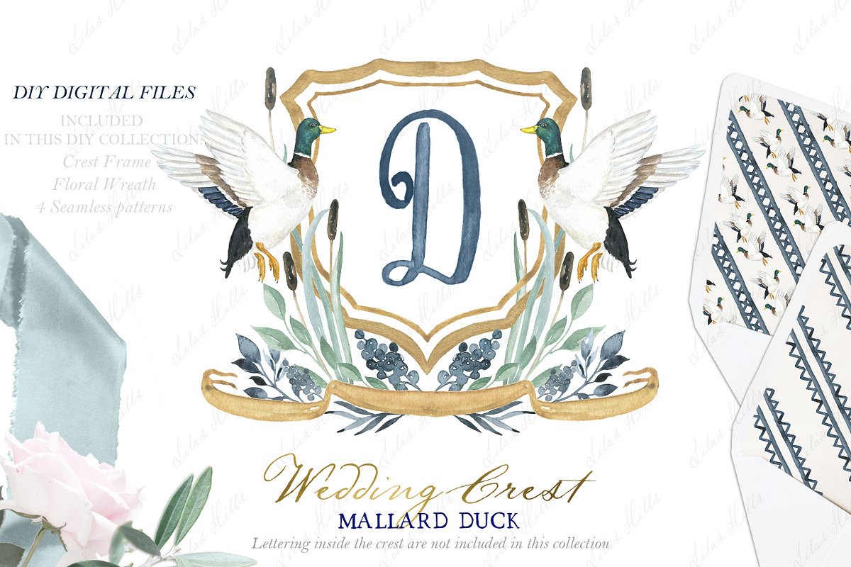 Watercolor Crest Mallard Duck, an Illustration by LABFcreations (Photo 1 of 3)