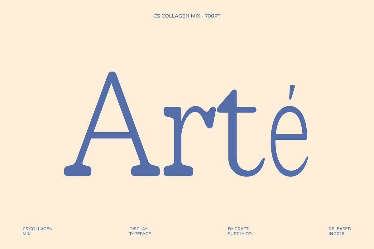 CS Collagen Mix, a Serif Font by Craft Supply Co. (Photo 2 of 8)